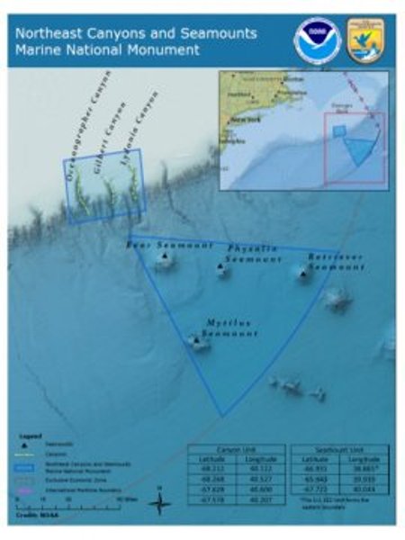 Northeast Canyons and Seamounts Marine National Monument.