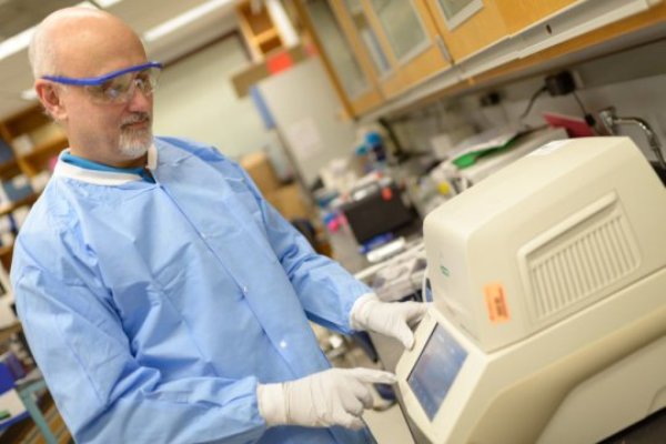 John Lednicky, Ph.D.