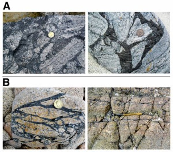 These pseudotachylites -- fine grained rocks -- are from the British Isles.