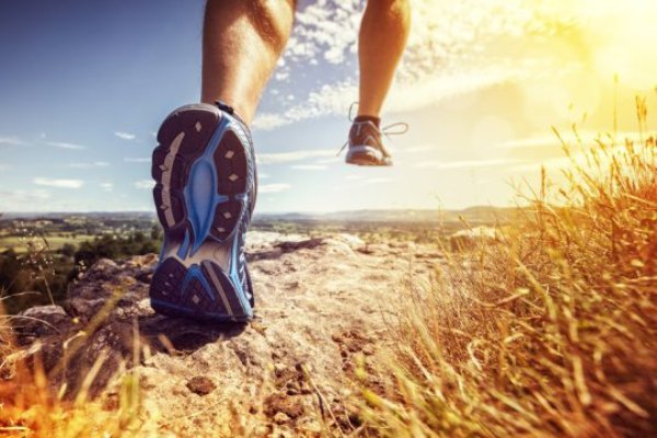 Regular endurance training is very beneficial to health and wellbeing, and can be used to prevent cardiovascular disease, diabetes, obesity and other such conditions. However, just how this works on a molecular level is not fully known.