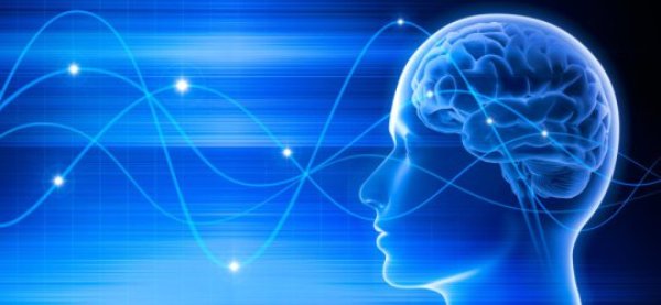 Several research groups have recently showcased systems that use EEG to authenticate users with very high accuracy.