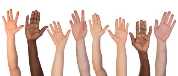 Have you ever wondered why our hands have exactly five fingers? New research has been digging around to find out why.