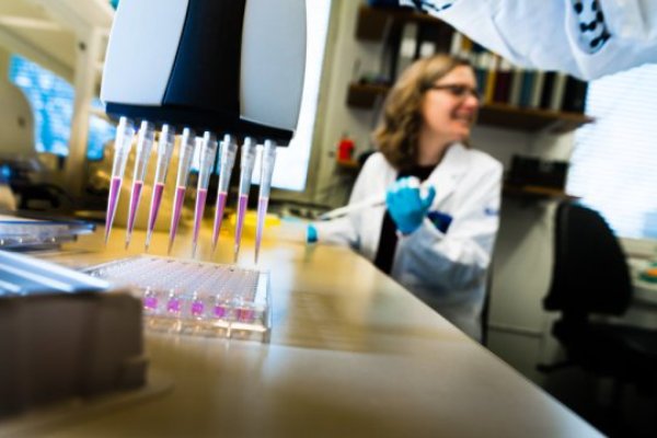 Researchers at Linköping University, Sweden, study whether intestinal bacteria play a role in the development of allergy and asthma.