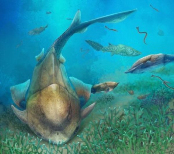 Life reconstruction of Qilinyu along with Guiyu and Entelognathus in Silurian waters.