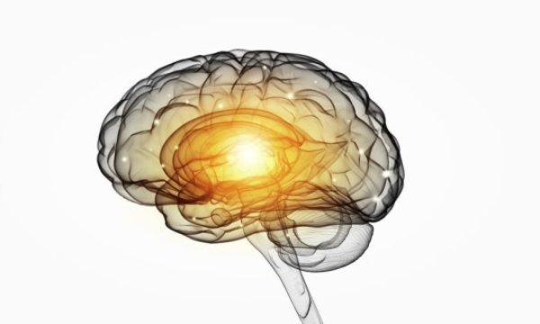 How do different brain regions interact when long-term memories are formed?