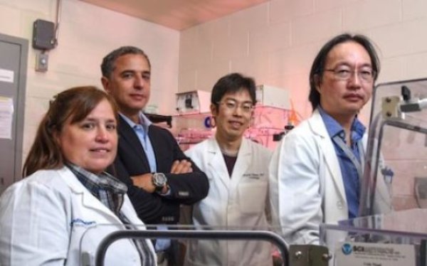 Researchers (left to right) Drs. Diana Canseco, Hesham Sadek, Wataru Kimura, and Yuji Nakada, part of the Hamon Center for Regenerative Science and Medicine, demonstrate a low-oxygen chamber, which was used to regenerate heart muscle in mice.