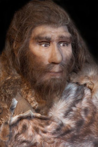 We owe our long-lost hominid relatives for various traits, and especially those related to our immune systems and skin, the evidence shows.