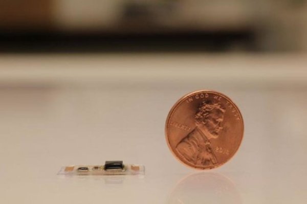 A tiny, wearable acoustic sensor developed by researchers can be used to monitor heart health and recognize spoken words.