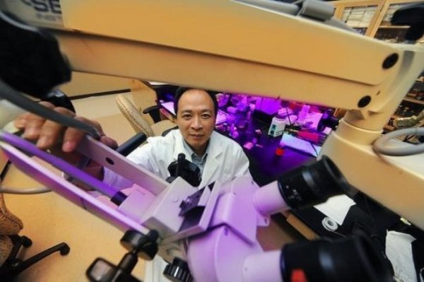 Dr. Joe Z. Tsien, neuroscientist at the Medical College of Georgia at Augusta University, co-director of the Augusta University Brain and Behavior Discovery Institute and Georgia Research Alliance Eminent Scholar in Cognitive and Systems Neurobiology.
