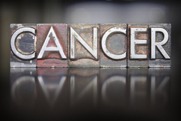 Across virtually every type of cancer, occurrence rates are higher in males than in females, say researchers.