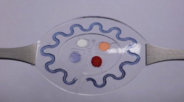 The new sweat-monitoring device developed at Northwestern University.