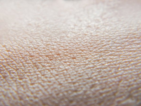 Humans shed 200,000,000 epidermal skin cells every hour.