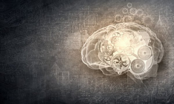 There are newly discovered cycles of 'sleep' and wakefulness occurring in parts of the brain when we are awake.