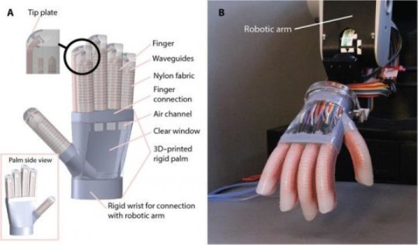 (A) Schematic of hand structure and components; (B) image of the fabricated hand mounted on a robotic arm with each finger actuated at ΔP = 100 kPa.