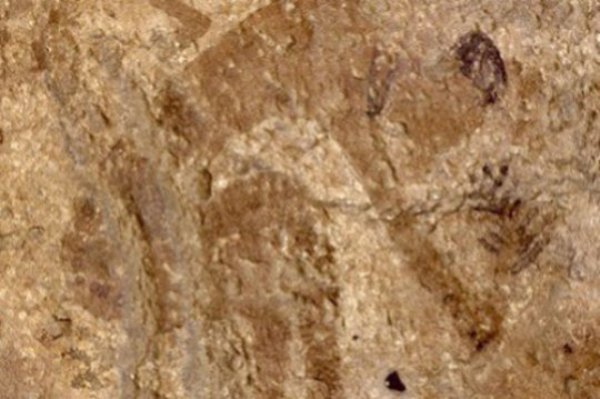 Rock art painting showing a human figure collecting plants.