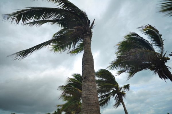 El Niños occur every three to seven years in varying intensity, with the 2015 El Niño, nicknamed the 'Godzilla', one of the strongest on record.