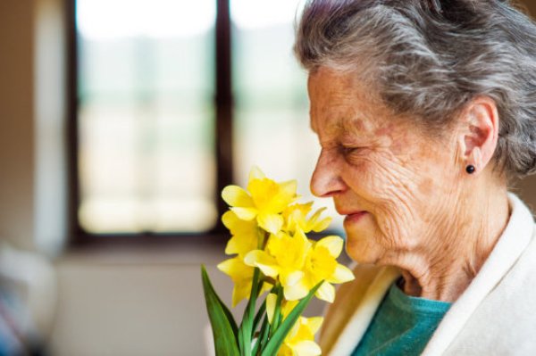 The sniff test appears to be useful for diagnosing a pre-dementia condition called mild cognitive impairment (MCI), which often progresses to Alzheimer's dementia within a few years.