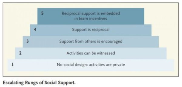 Escalating rungs of social support.