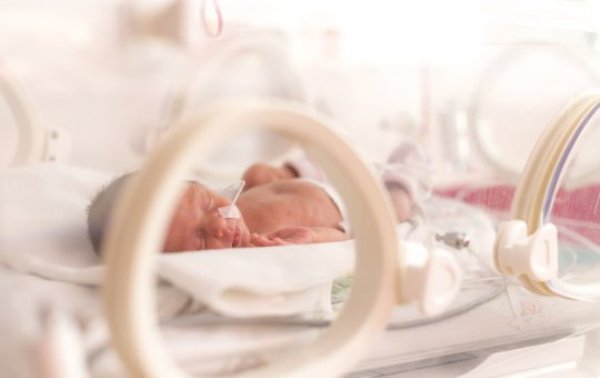 Premature newborn baby girl.