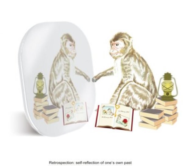Retrospection: Self-reflection of one's own past.