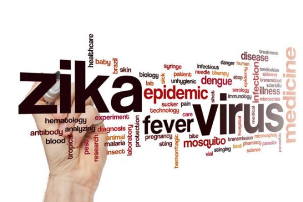 The association between Zika virus (ZIKV) infection and microcephaly has been previously established. Nevertheless, the cellular changes caused by the virus and leading to microcephaly are largely unknown.