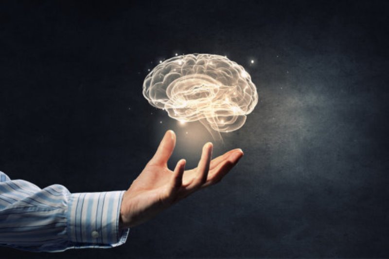 The brain. Researchers found that high levels of neuroticism, which may predispose people to develop neuro-psychiatric disorders, were associated with increased thickness as well as reduced area and folding in some regions of the cortex, such as the prefrontal-temporal cortices. In contrast, openness, which is a personality trait linked with curiosity, creativity, and a preference for variety and novelty, was associated with the opposite pattern: reduced thickness and an increase in area and folding in some prefrontal cortices.