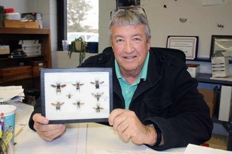 Jeff Whitworth, associate professor of entomology, says endangered bee populations can be revived through simple practices like growing native plants.