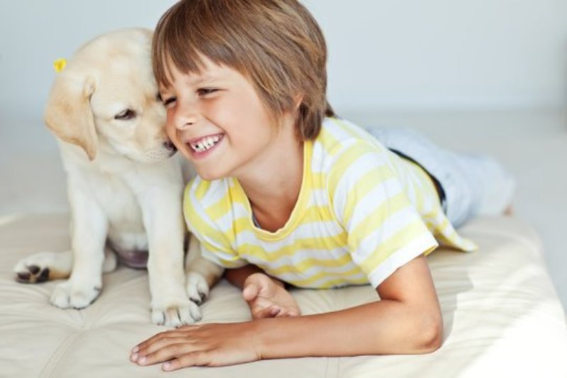 Many children feel closer to their pets than their siblings.