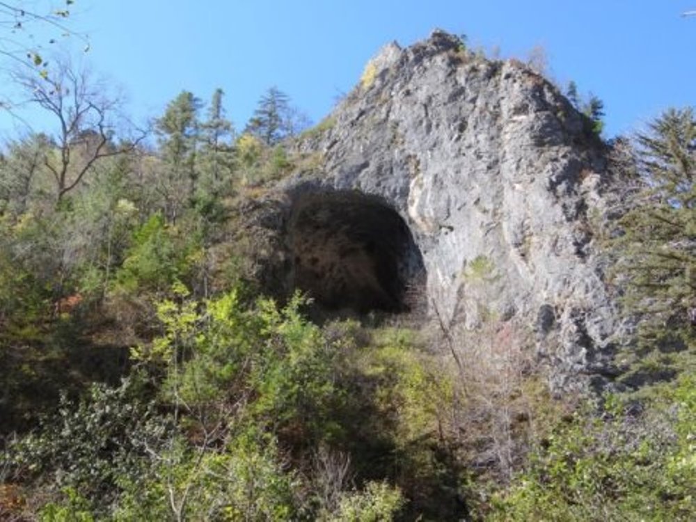 Exterior of Devil's Gate: the cave in the Primorye region, about 30km from the far eastern coast of Russia, where the human remains were found from which the ancient DNA used in the study was extracted.