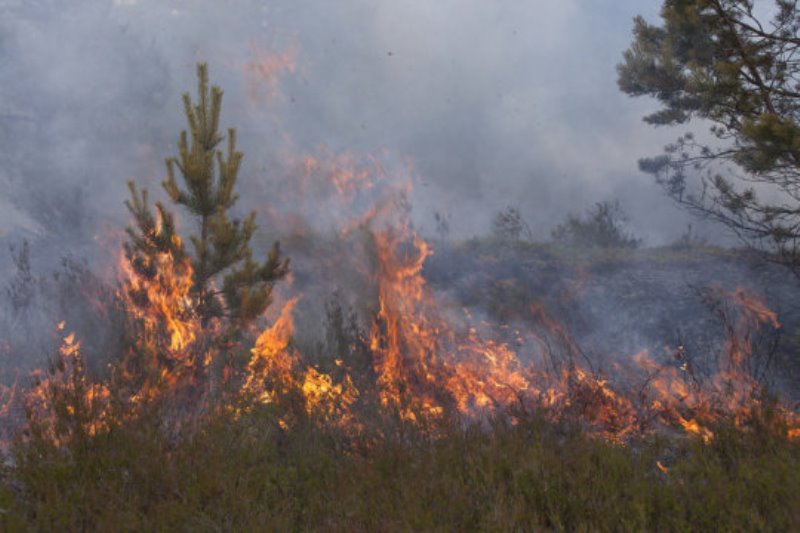 An international collaboration has compiled a global satellite database of the intensity of 23 million landscape fires between 2002 and 2013.