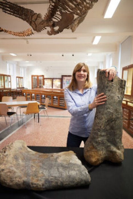 Palaeontologist Jessica Mitchell of the Steinmann Institute, University of Bonn with the thigh bone of the long-necked dinosaur Apatosaurus.
