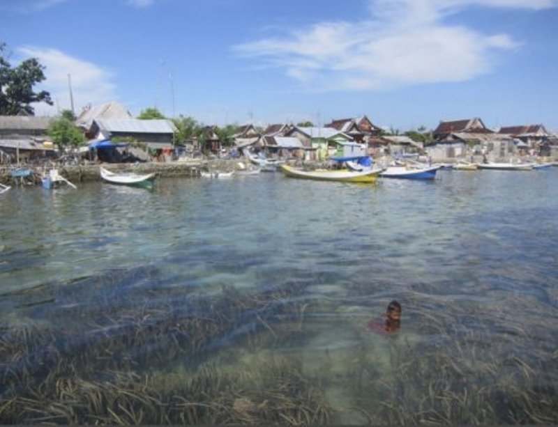 Seagrass?meadow?near?Spermonde?Archipelago,?Indonesia.