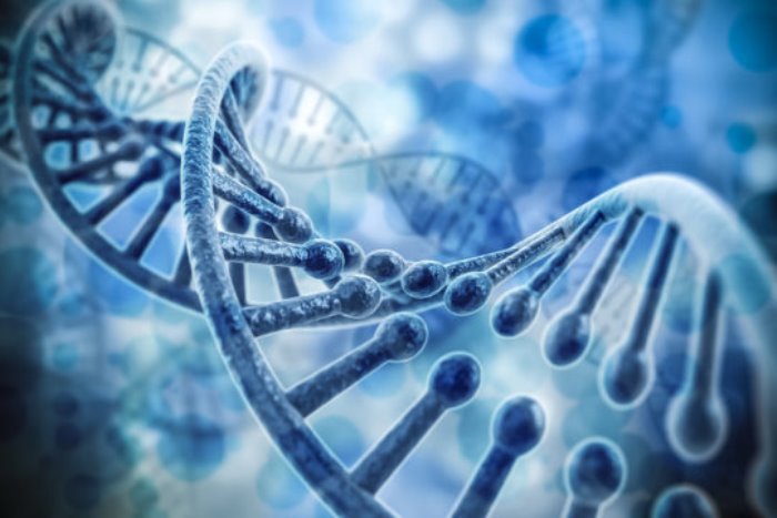 Identifying the gene responsible for arrhythmogenic right ventricle cardiomyopathy (ARVC) in young people is important because it helps to clarify the genetic mechanisms underlying ARVC, and it also makes the early detection of ARVC possible in otherwise unsuspecting people.
