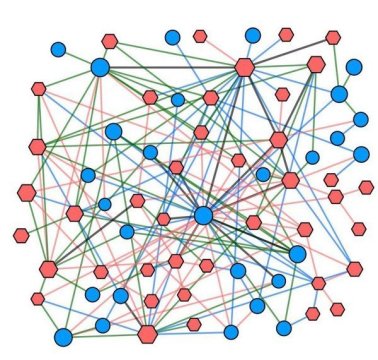 Network of synthetic-lethal interactions connecting commonly mutated genes to potential drug targets.