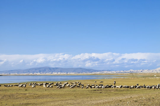 Chinese countryside (stock image). The new specimen from the rich Early Cretaceous Jehol Biota comes only from the 130.7 Ma Huajiying Formation deposits in Hebei, which preserves the second oldest known fossil birds. Birds from this layer are very rare.