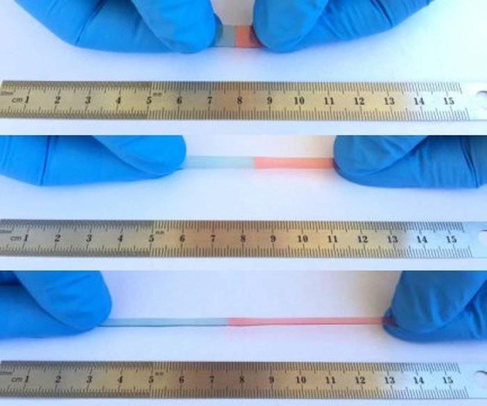 A new material not only heals itself, but it also stretches up to 50 times its usual size; these properties could fix your phone's battery if it cracks or prevent it from breaking in the first place.