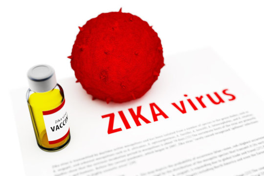 Rapid and promising progress has been made toward a Zika vaccine.