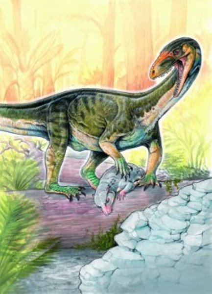 This is the new species Teleocrater rhadinus hunting a cynodont, a close relative of mammals.