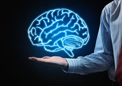 Why do people and animals naturally favor one side over the other, and what does it teach us about the brain's inner workings?