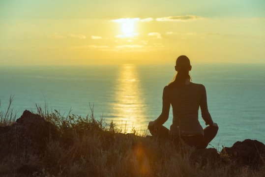 Mind-body medicine focuses on reducing the physiological manifestations of stress and anxiety by improving social and cognitive stimulation, as well as physical activity.