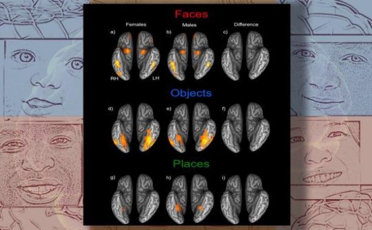 The study found no evidence of the commonly held belief that women can recognize faces more accurately than men.