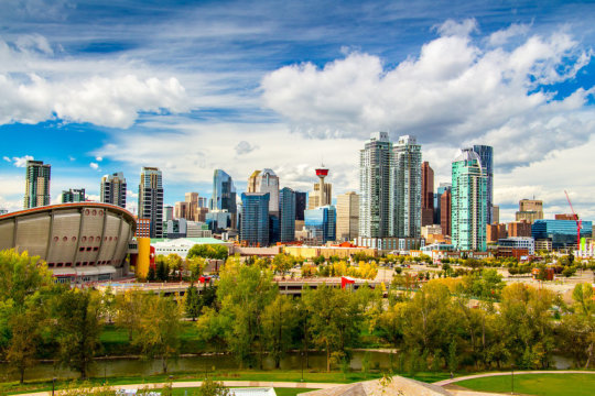 Trees in cities have many benefits but can increase ozone during heat waves.