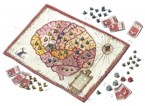 Different brain areas recognize different visual categories: faces, objects, scenes, or body parts.