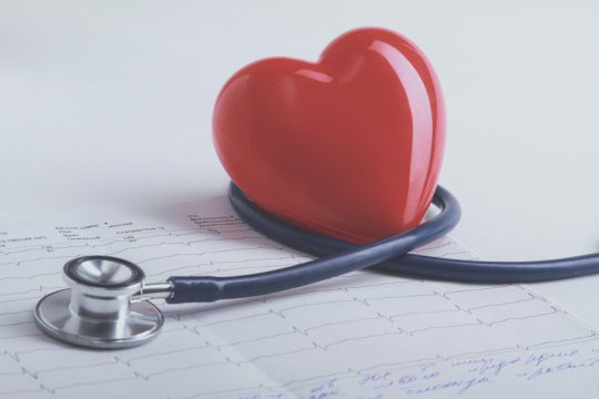 Cardiovascular diseases, including heart diseases and stroke, account for one-third of deaths throughout the world.