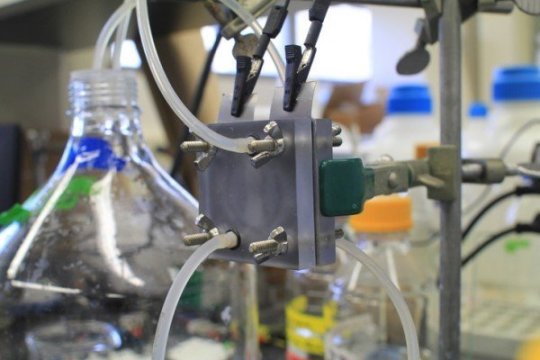 Photograph of the concentration flow cell. Two plates clamp the cell together, which contains two narrow channels fed with either synthetic freshwater or seawater through the plastic lines.