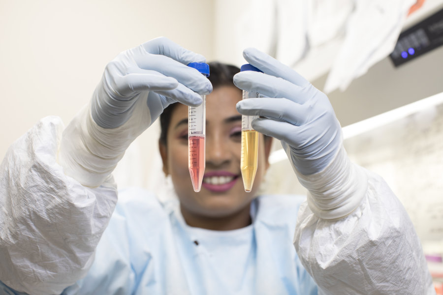 Dr. Anwesha Sanyal holds up two vials with HIV-infected cells that she is preparing for Pitt Public Health's TZA test. The yellow indicates more stimulated HIV infected cells.