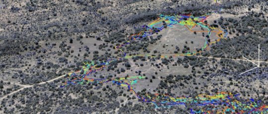 These are the movement patterns of baboons in the wild.