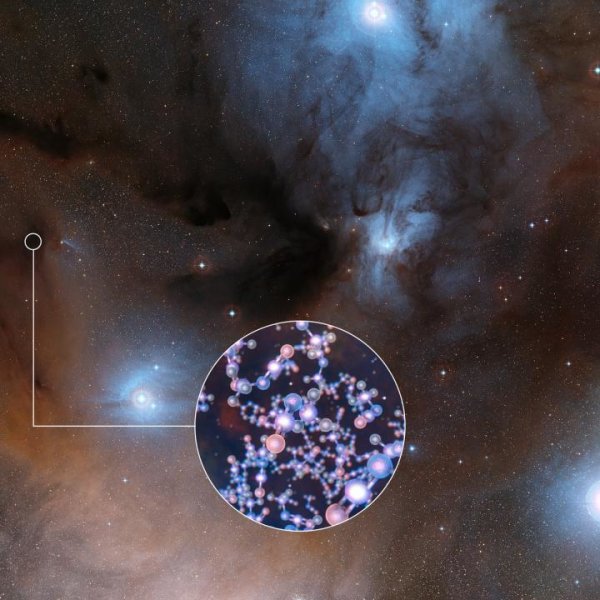 ALMA has observed stars like the Sun at a very early stage in their formation and found traces of methyl isocyanate -- a chemical building block of life. This is the first ever detection of this prebiotic molecule towards a solar-type protostar, the sort from which our Solar System evolved. The discovery could help astronomers understand how life arose on Earth. This image shows the spectacular region of star formation where methyl isocyanate was found. The insert shows the molecular structure of this chemical.