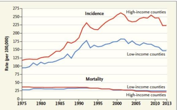 Because income and cancer-incidence trends (particularly for melanoma) may be confounded by race, the data here are for white people only. High-income counties have a median family income of more than $75,000, and low-income counties have a median family income of less than $40,000, according to 2000 US Census data.
