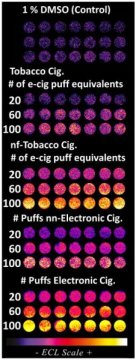 The results of tests conducted by UConn chemists show that nicotine electronic cigarettes are equivalent, if not slightly worse, than unfiltered (nf) tobacco cigarettes when it comes to causing DNA damage. Non-nicotine (nn) e-cigarettes cause damage similar to filtered tobacco cigarettes. The amount of relative DNA damage is reflected by the intensity of the color in each circle with brighter colors reflecting more damage.
